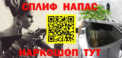 гашик Новозыбков