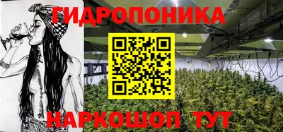 гашик Новозыбков