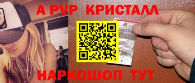 гашик Новозыбков