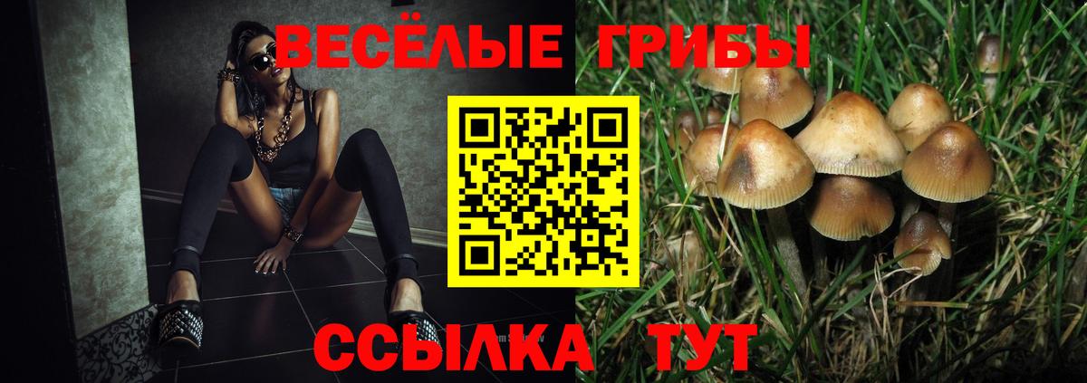 Самара  Псилоцибиновые грибы прущие грибы  Вход с VPN  Псилоцибиновые грибы Psilocybine cubensis 