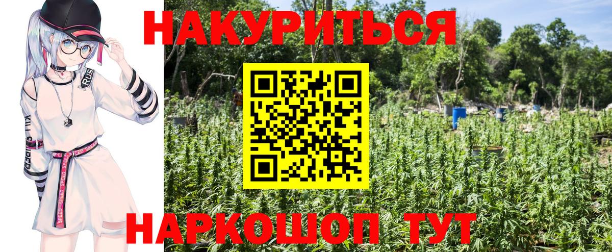 Бошки Шишки White Widow  Конопля планчик  Вход с VPN  Марихуана сатива  Бошки Шишки OG Kush  Самара 